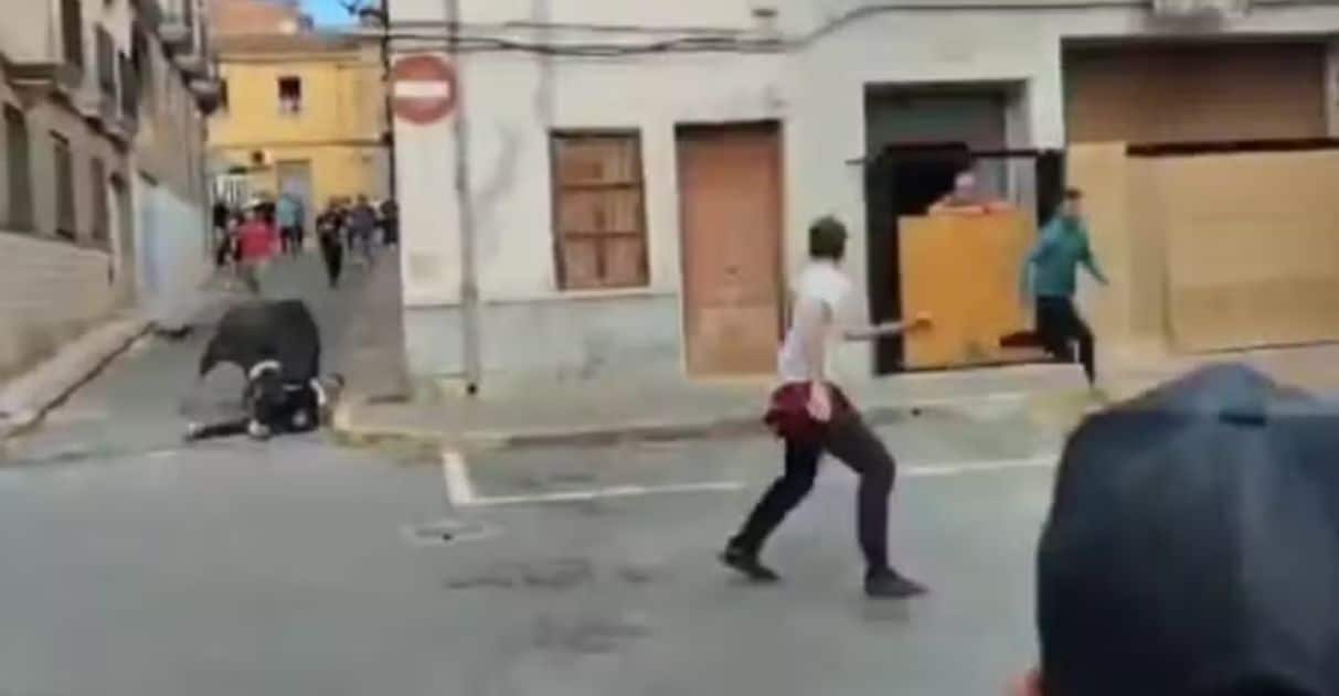 pensarcontemporaneo.com - Touro mata a chifradas homem que tropeçou no meio-fio durante "corrida" na Espanha; veja o vídeo